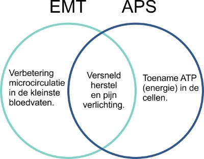 EMT